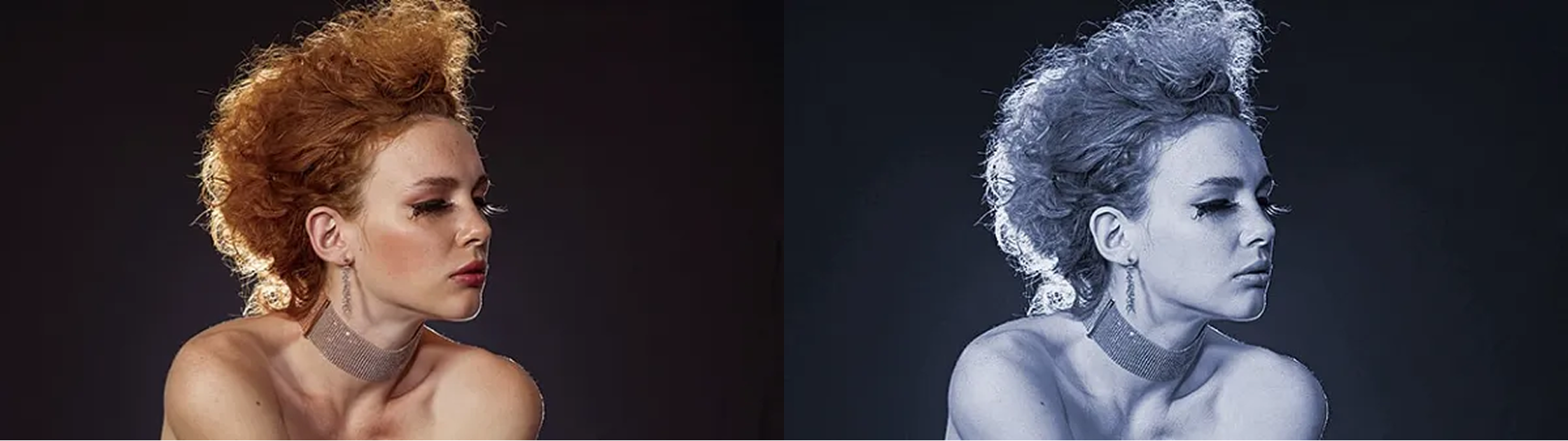 ライブ・カラーコレクション